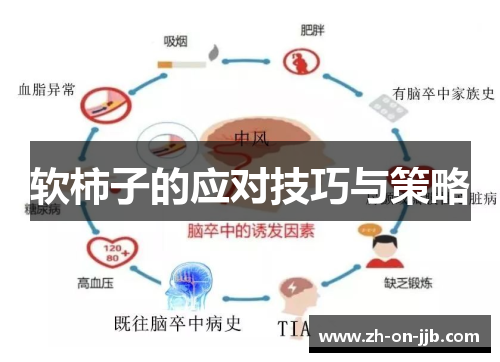 软柿子的应对技巧与策略 软柿子的应对技巧与策略