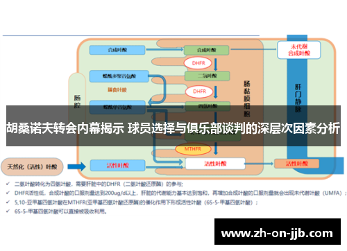 胡桑诺夫转会内幕揭示 球员选择与俱乐部谈判的深层次因素分析