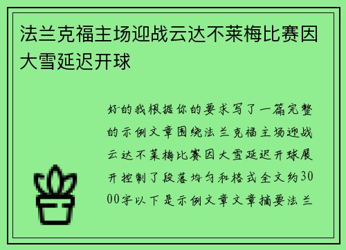 法兰克福主场迎战云达不莱梅比赛因大雪延迟开球