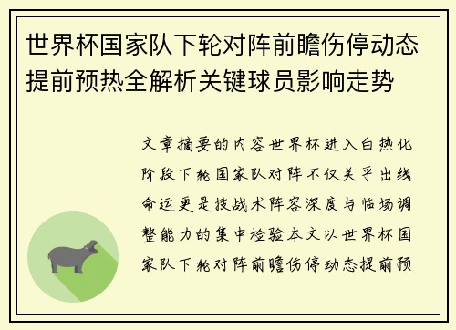 世界杯国家队下轮对阵前瞻伤停动态提前预热全解析关键球员影响走势