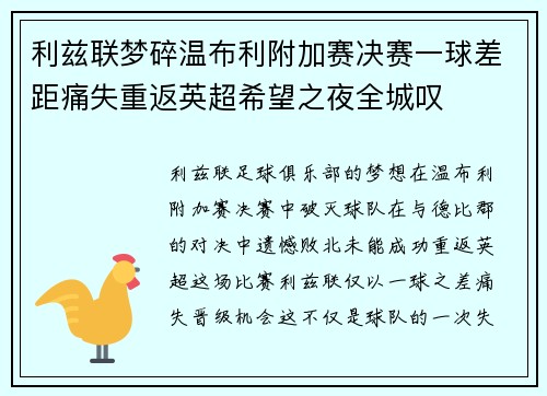利兹联梦碎温布利附加赛决赛一球差距痛失重返英超希望之夜全城叹